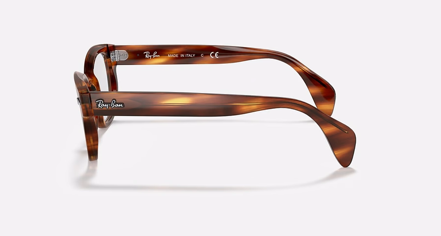 RB0880 OPTICS