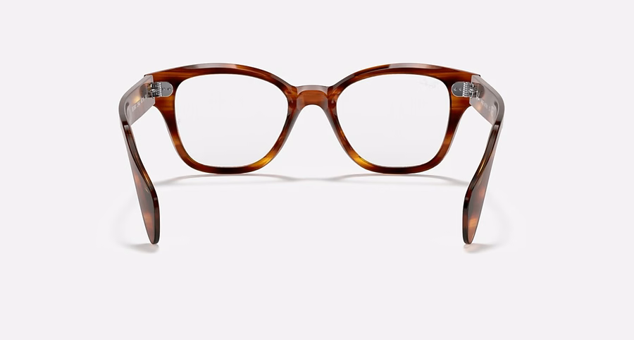 RB0880 OPTICS