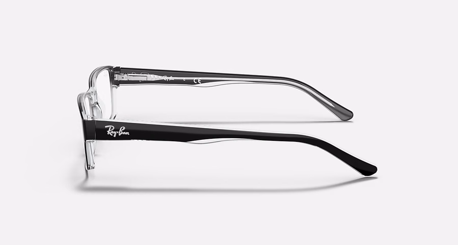 RB5169 OPTICS