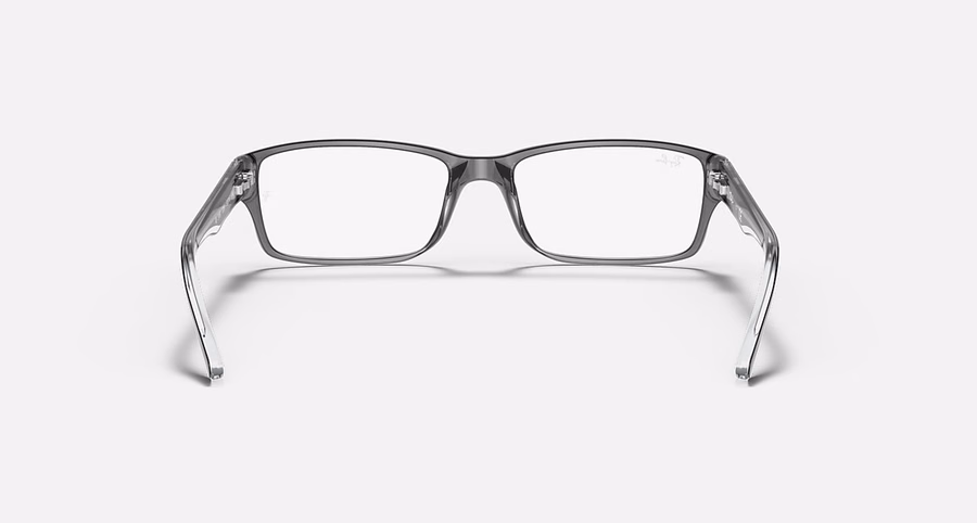 RB5169 OPTICS