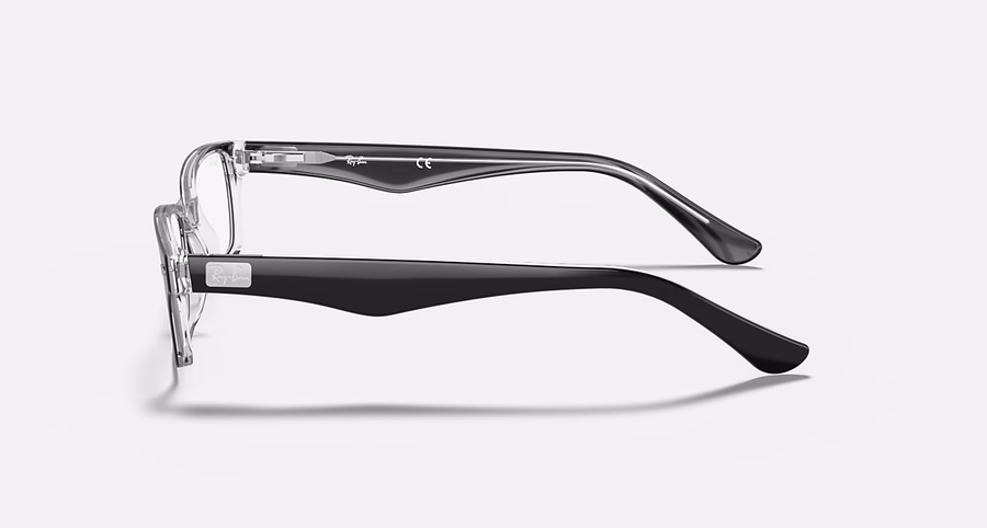 RB5206 OPTICS