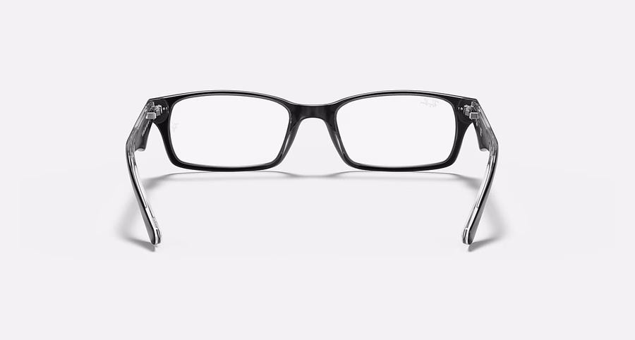 RB5206 OPTICS