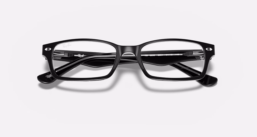 RB5206 OPTICS
