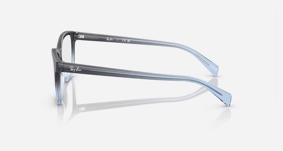 RB5362 OPTICS