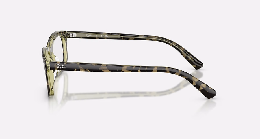 RB5450 OPTICS