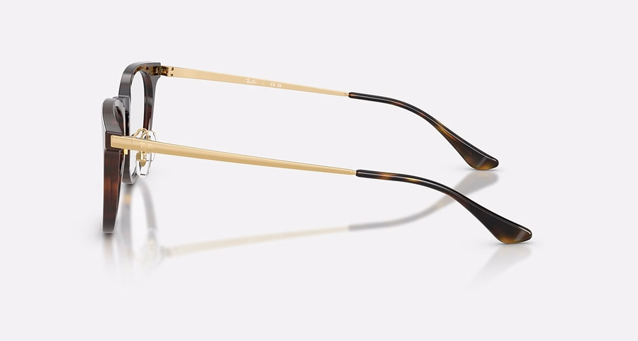 RB5453D OPTICS