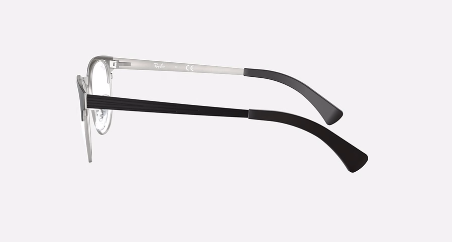 RB6317 OPTICS