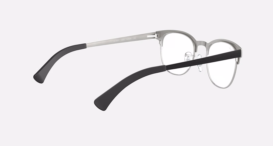 RB6317 OPTICS