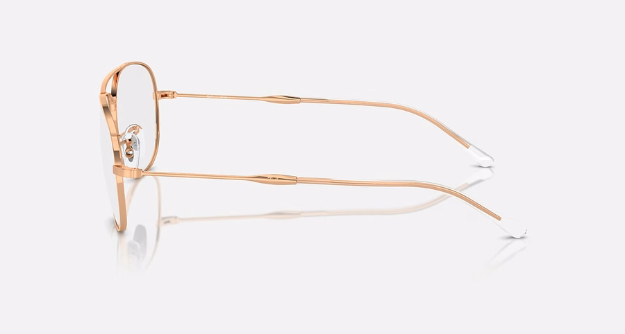 BAIN BRIDGE OPTICS