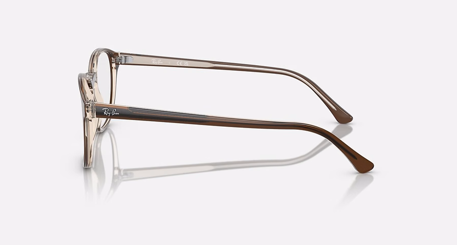 RB5417 OPTICS