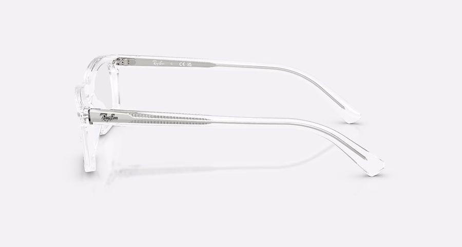 RB5450 OPTICS